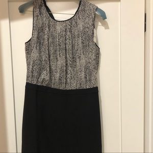 NWT LOFT dress